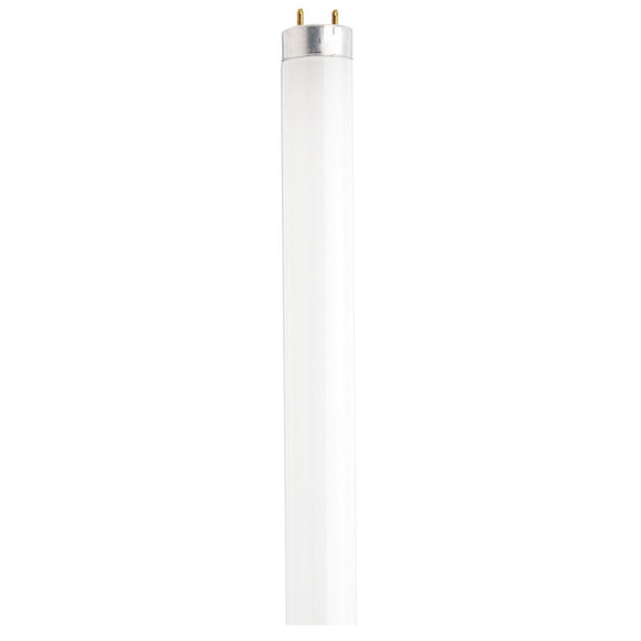 Satco S6547 Fluorescent T8 60 inch