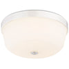 NUVO Lighting 60/5824 Fixtures Ceiling Mounted-Flush