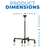 NUVO Lighting 60/5795 Fixtures Chandelier