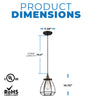 NUVO Lighting 60/5501 Fixtures Pendant