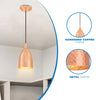 Westinghouse 6105400 One Light Mini Pendant Hammered Copper Finish