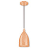 Westinghouse 6105400 One Light Mini Pendant Hammered Copper Finish