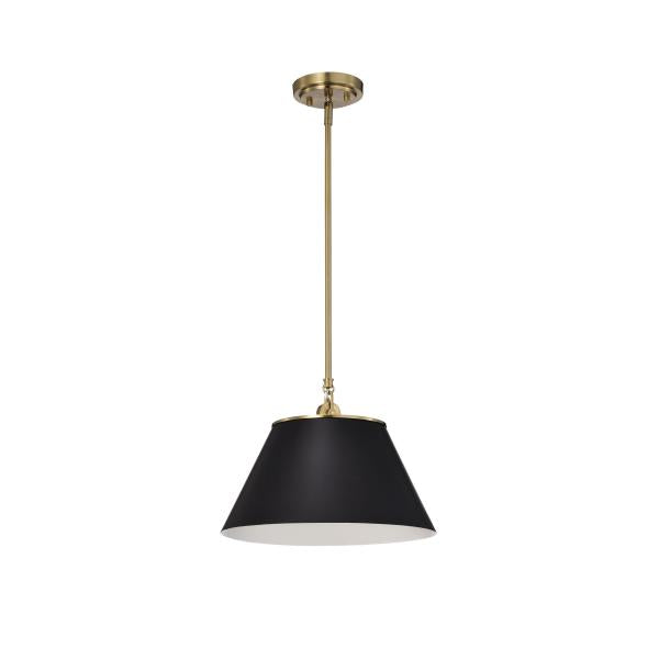 Satco 60/7411 Dover - 1 Light - Medium Pendant - Black with Vintage Brass