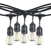 Bulbrite 812313 String Light - Black - Bulbs Included:1W S14 Clear LED (10pcs) 2700K - E26 Base - 120V