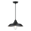 Westinghouse 6132300 - 1Lt Pendant Matte Black