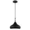 Satco 60/7510 Phoenix - 1 Light - Small Pendant - Matte Black with Polished Nickel