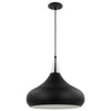 Satco 60/7516 Phoenix - 1 Light - Large Pendant - Matte Black with Polished Nickel