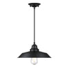 Westinghouse 6132300 - 1Lt Pendant Matte Black