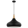 Satco 60/7517 Phoenix - 1 Light - Large Pendant - Matte Black with Burnished Brass