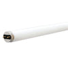 Satco S6691 Fluorescent T8