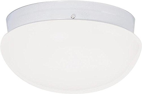 NUVO Lighting SF77/987 Fixtures Ceiling Mounted-Flush