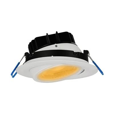 Lotus LED Lights - 4 Inch Eyeball - Gimbal LED Downlight - 30 Degree Tilt - 360 Degree Rotation