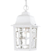 NUVO Lighting 60/4931 Fixtures Outdoor