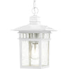 NUVO Lighting 60/4954 Fixtures Outdoor