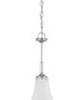 NUVO Lighting 60/4267 Fixtures Pendant