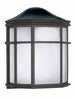 NUVO Lighting 60/539 Fixtures Outdoor