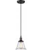 NUVO Lighting 60/5502 Fixtures Pendant