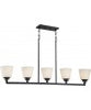 NUVO Lighting 60/5555 Fixtures Pendant