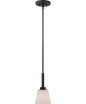 NUVO Lighting 60/5557 Fixtures Pendant