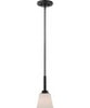 NUVO Lighting 60/5557 Fixtures Pendant