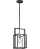 NUVO Lighting 60/5860 Fixtures Pendant