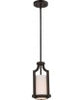 NUVO Lighting 60/5889 Fixtures Pendant