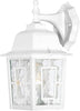 NUVO Lighting 60/3484 Fixtures Outdoor