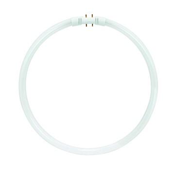 Satco S8161 Fluorescent Circline T5