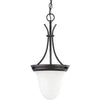 NUVO Lighting 60/3174 Fixtures Pendant