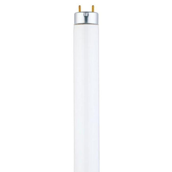 Westinghouse 0702800 32 Watt Fluorescent T8 Linear - 3500 Kelvin - Cool White - 3100 Lumens - Medium Bi Pin Base - Sleeve