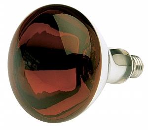 Satco S4884 Incandescent R40