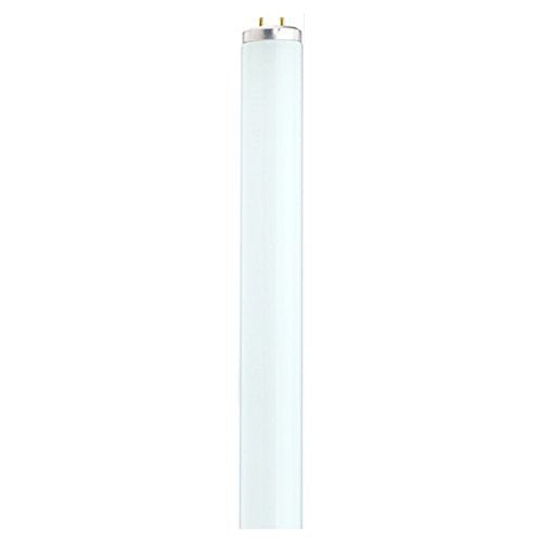 Satco S6889 Fluorescent T12 T12