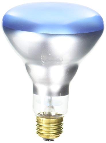 Satco S2852 Incandescent R30