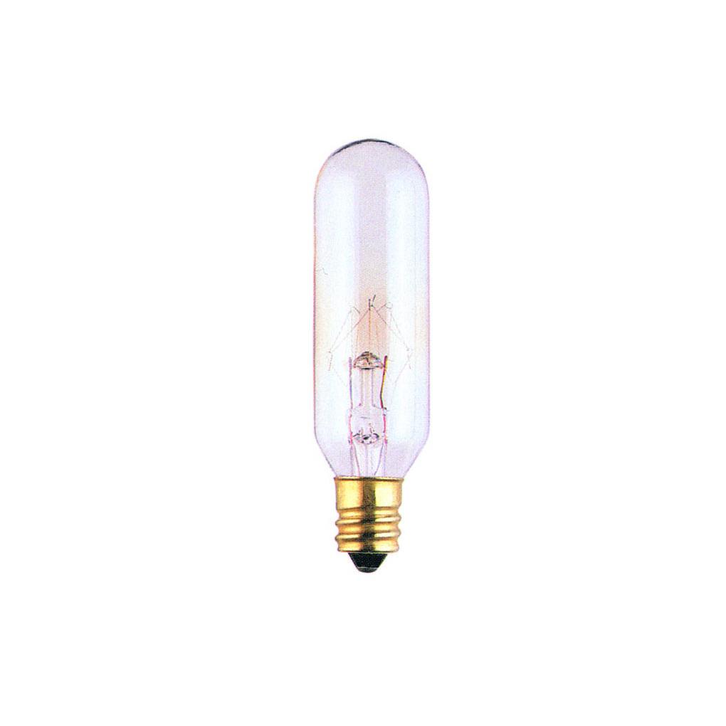 Bulbrite 707125 25 Watt T6 Incandescent White Tubular