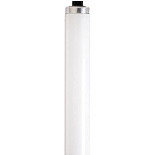 Satco S6670 Fluorescent T12