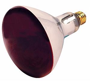 Satco S4998 Incandescent R40