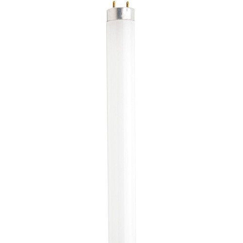 Satco S2916 Fluorescent T8