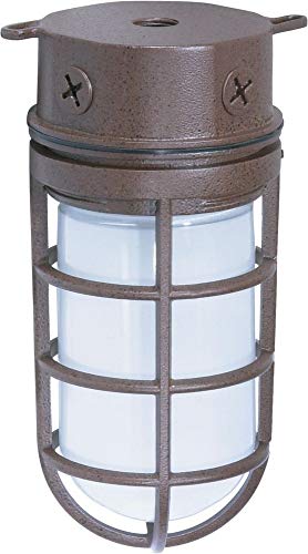 NUVO Lighting SF76/625 Fixtures Outdoor