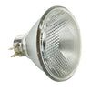 Satco S4800 Incandescent PAR38