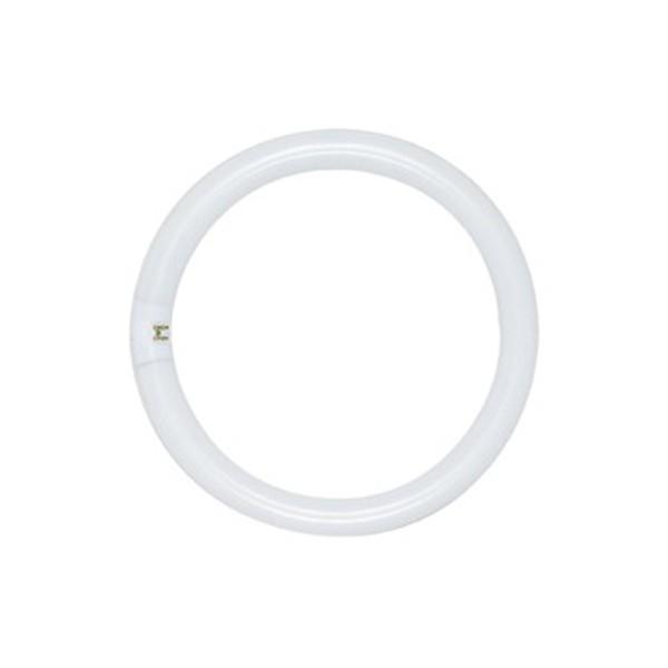 Satco S6507 Fluorescent Circline T9