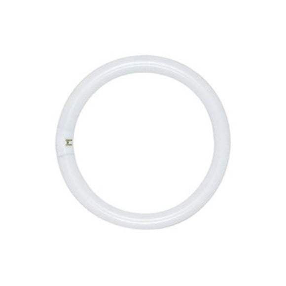 Satco S6507 Fluorescent Circline T9