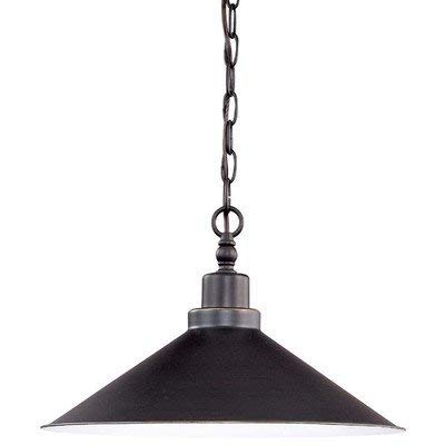 NUVO Lighting 60/1707 Fixtures Pendant