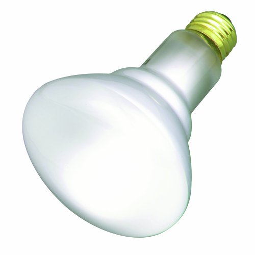 Satco S2810 Incandescent R20