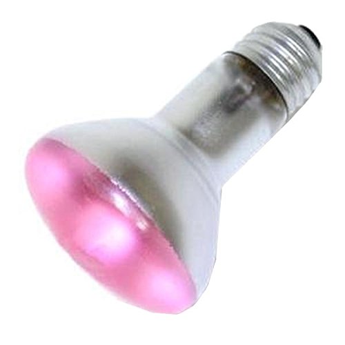 R20FL6/PNK/LED